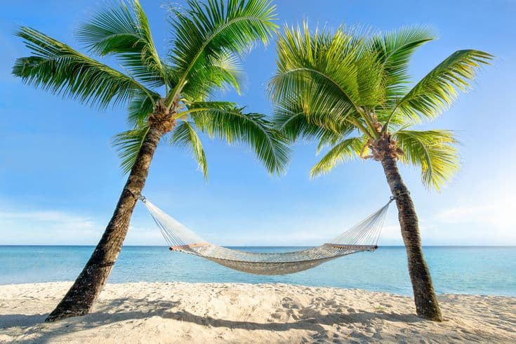 Plage tropicale avec hamac entre deux palmiers